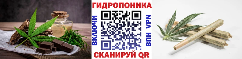 kraken   что такое   Усть-Илимск  Cannafood конопля 