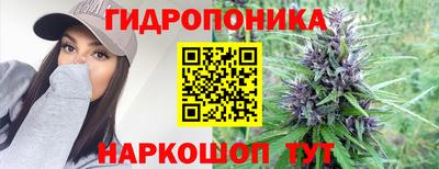 дурь Заводоуковск