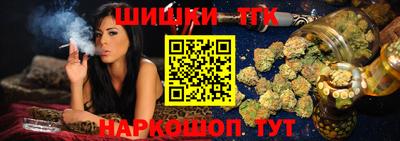 крисы Абакан