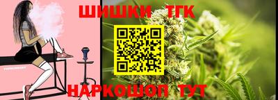 крисы Абакан