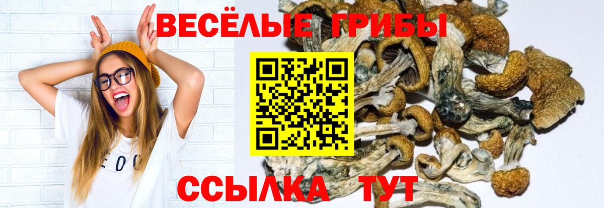 Галлюциногенные грибы Cubensis Усть-Илимск